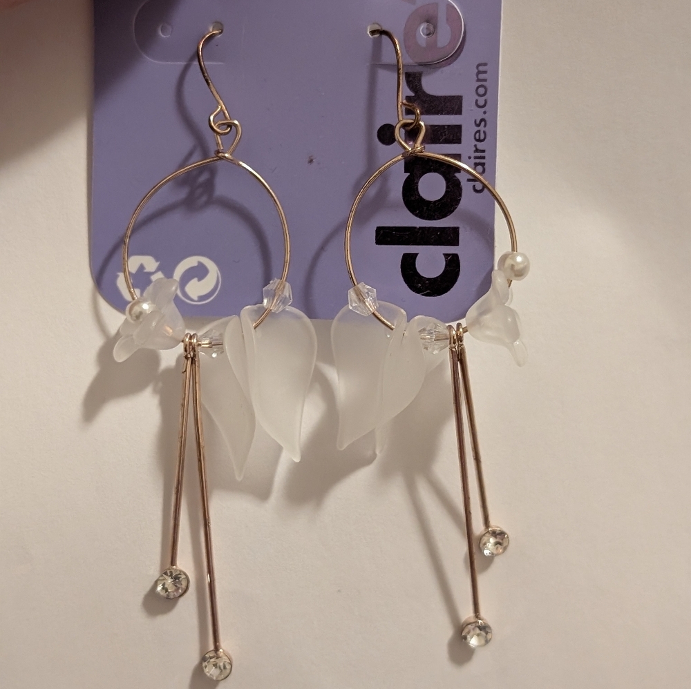 Earrings, never worn